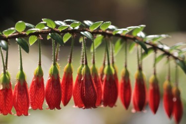 惠州惠城区9私人快速借钱网，轻松解决资金难题